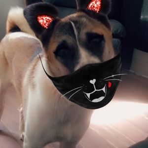 Meet your Posher, Bee